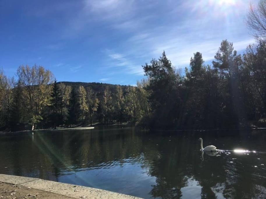 Ideal Parejas - Tranquilidad Y Naturaleza - Vistas Al Lago Osséja Eksteriør billede